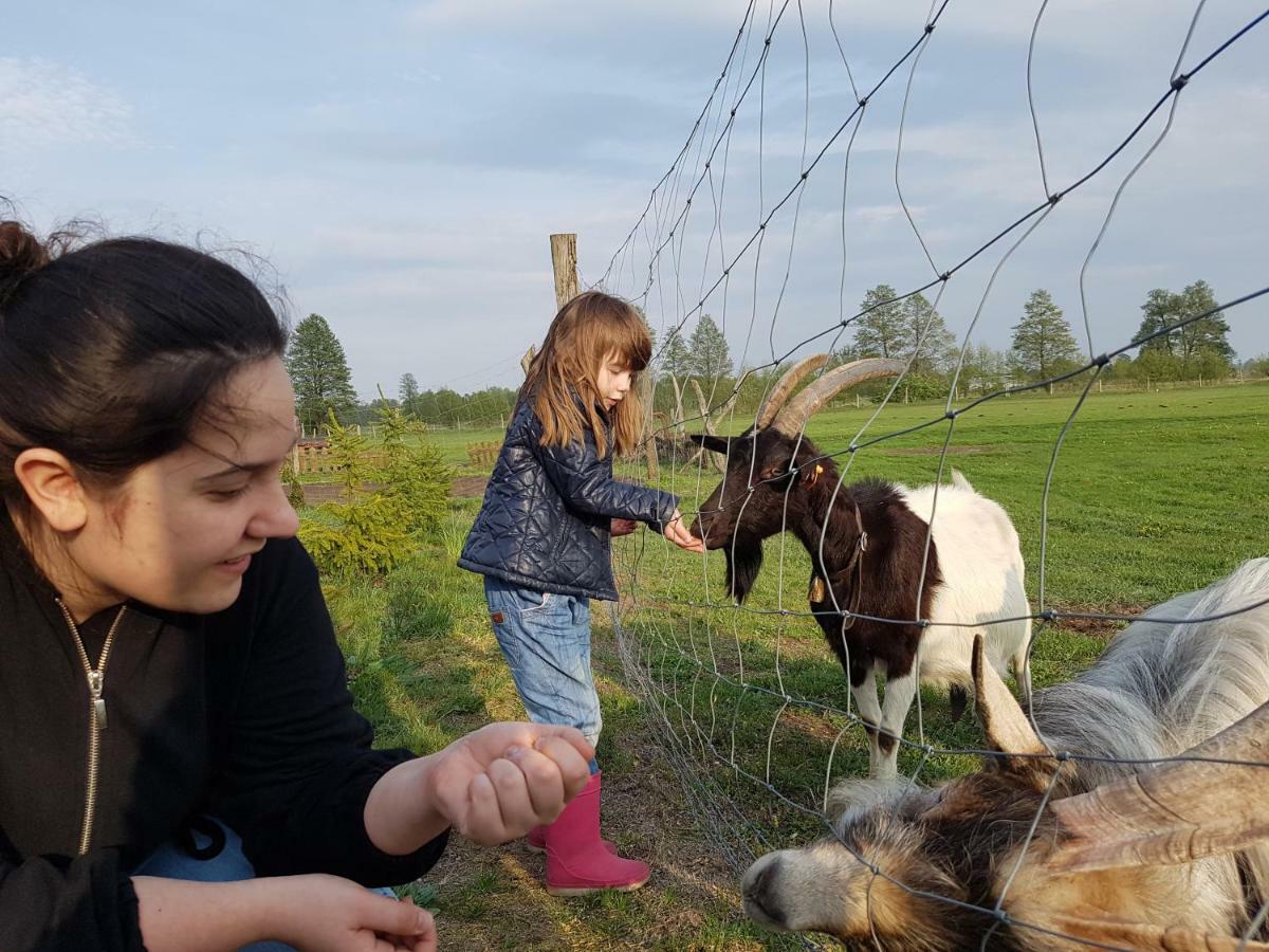 Gospodarstwo "Na Legach" Lubcz Maly Buitenkant foto